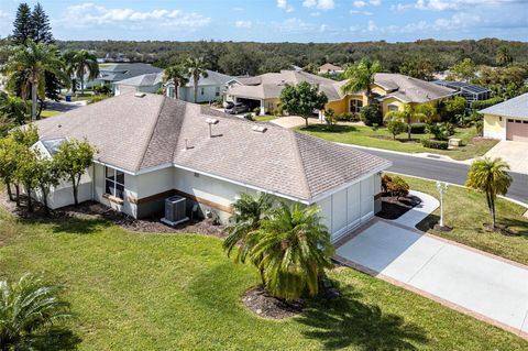 A home in TAVARES