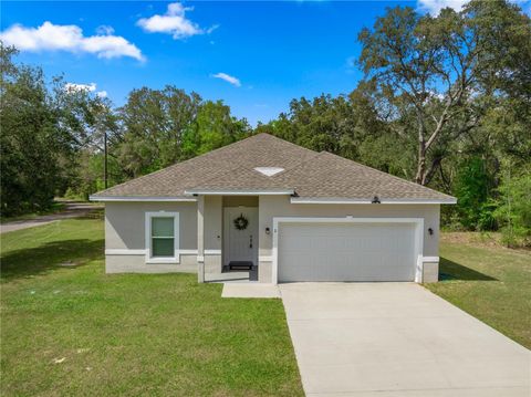 Photo of 2 Magnolia Pass Trace, Ocklawaha, FL 32179 (MLS # OM721757)