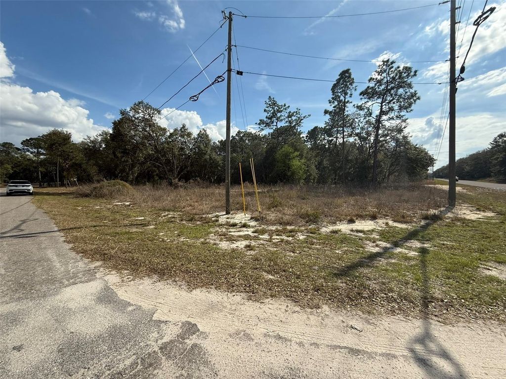 Photo of 11745 Orange Road, Ocklawaha, FL 32179 (MLS # O6368721)