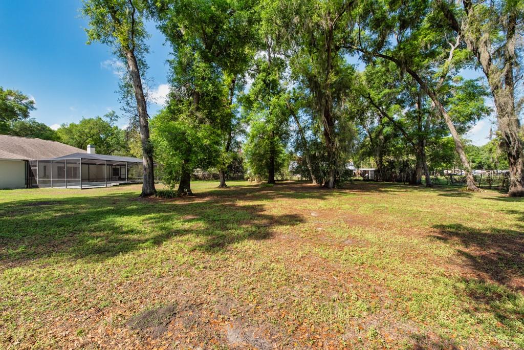 SHACKELFORD ESTATES - Residential