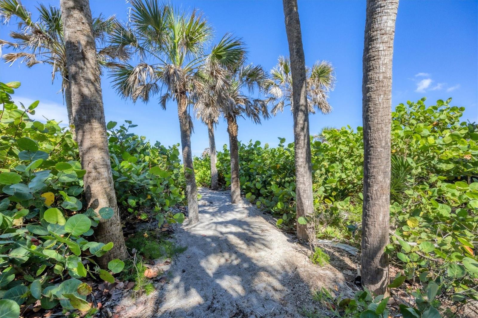 MANASOTA KEY - Residential