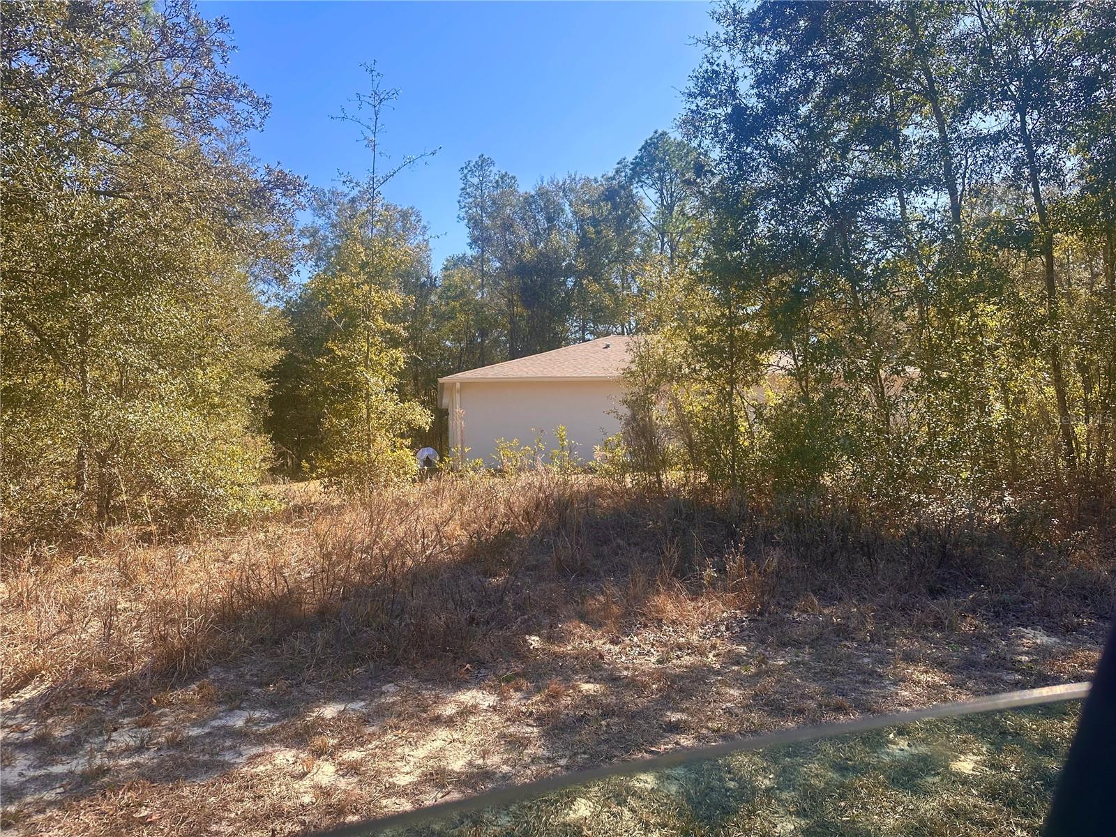 CITRUS SPRINGS - Residential