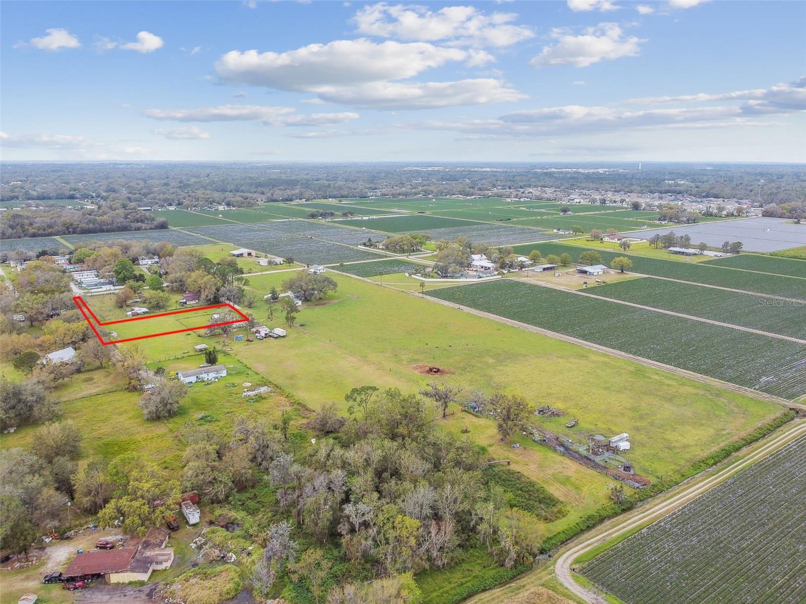Exceptional Investment Opportunity! Don't miss your chance to own a prime 1.15 acres land in Plant City, the Winter Strawberry Capital of the World! Perfectly positioned near I-4, downtown Plant City’s commercial district, Parksdale Farm Market, Plant City High School, and the local YMCA, this property offers unbeatable convenience and potential. Bonus: The adjacent lot on one side (TB8353633) is also available, making this a rare chance for expansion—whether for development, rental income, or your dream home. Opportunities like this don’t last long—submit your offer today!