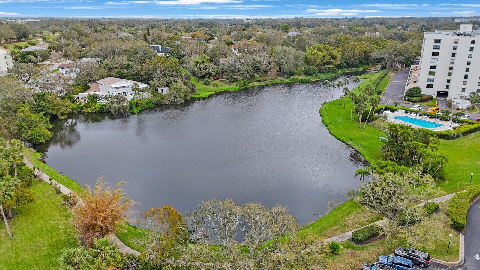 BELLEVIEW BILTMORE VILLAS BAYSHORE I CONDO - Residential