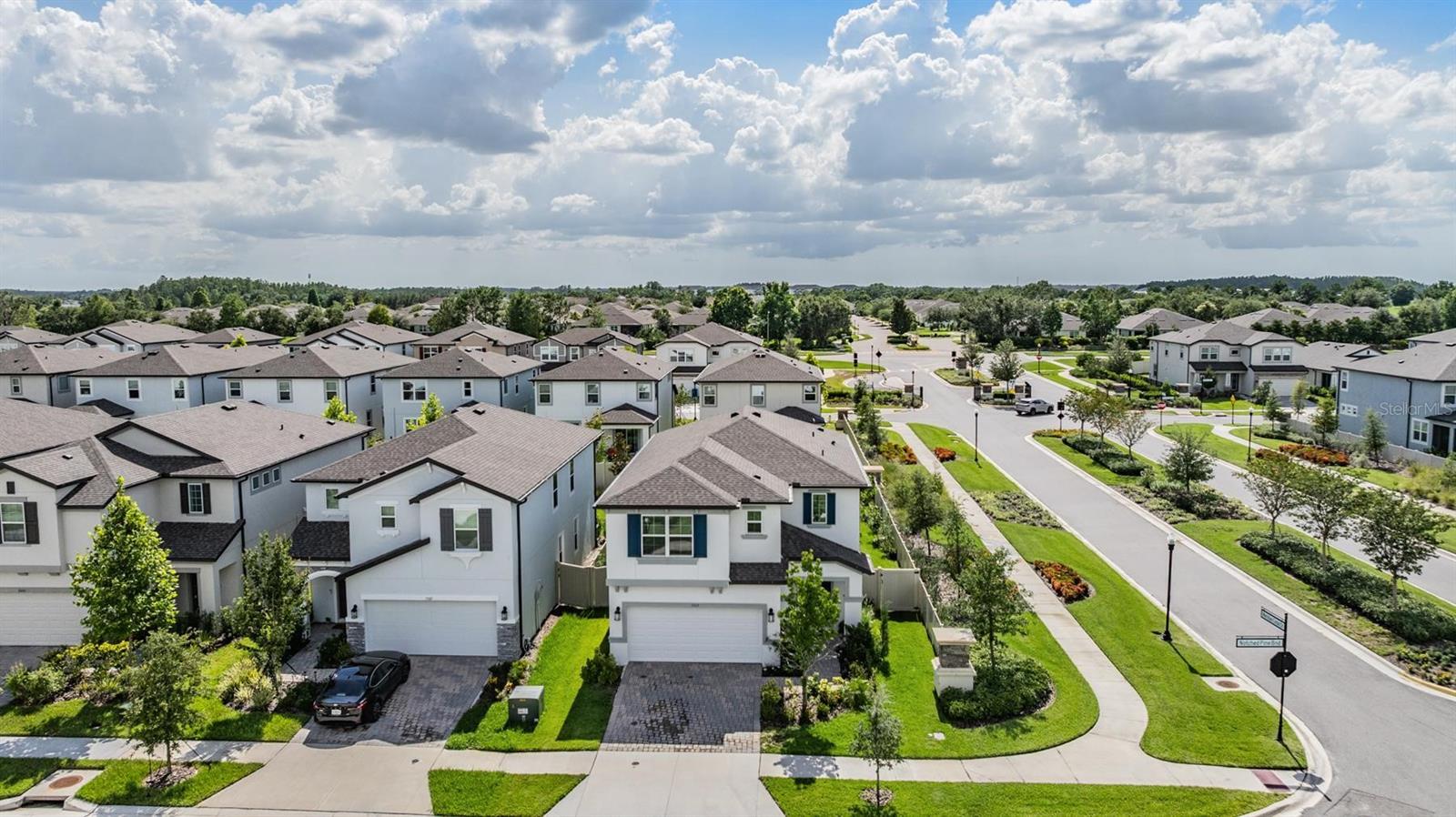 7517 NOTCHED PINE BEND