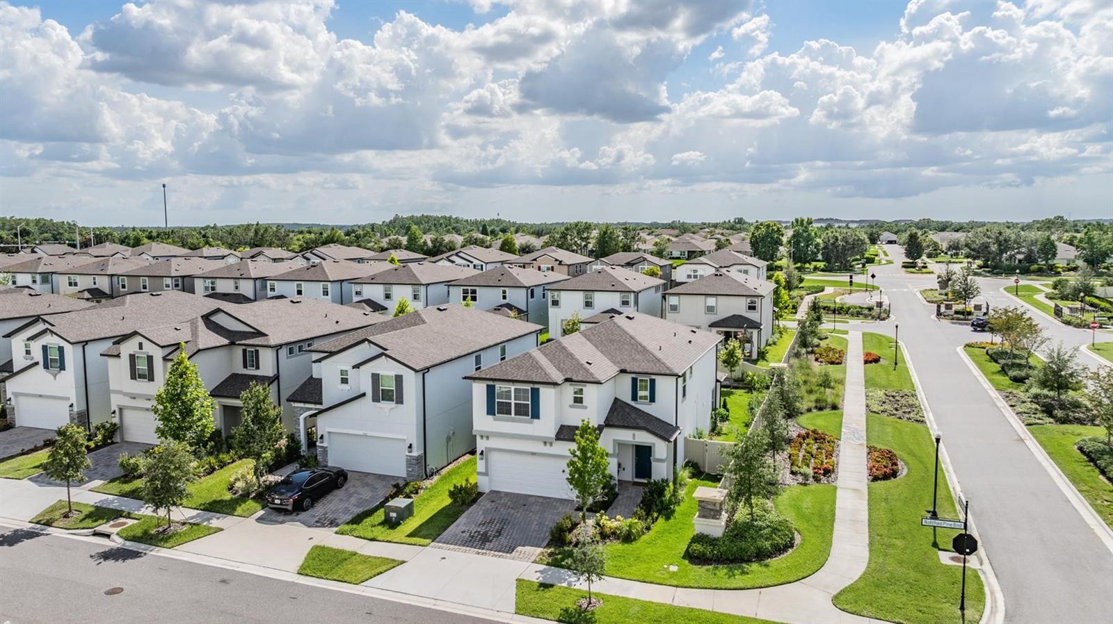 7517 NOTCHED PINE BEND