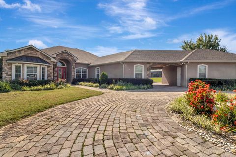 Tiny photo for 18139 Great Blue Heron Drive, Groveland, FL 34736 (MLS # G5099175)