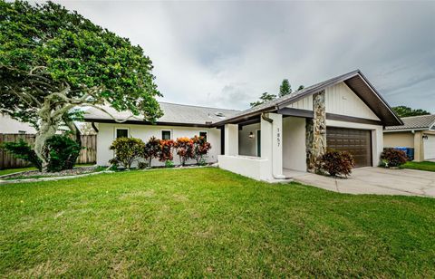 A home in DUNEDIN