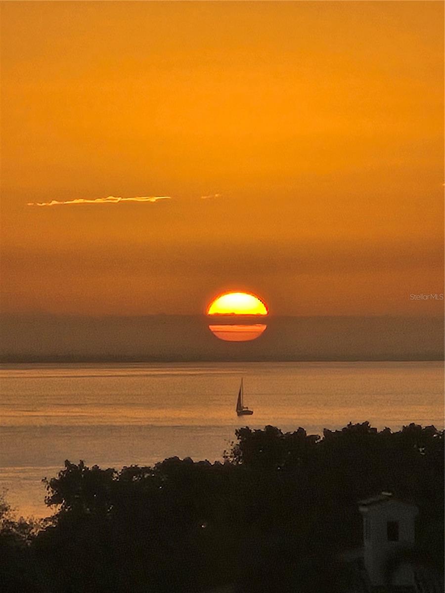 FLORI DE LEON APTS CO-OP - Residential