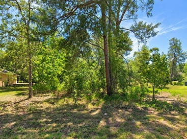 10 DRACAENA COURT HOMOSASSA FL 34446