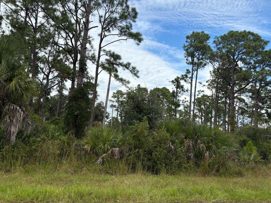 Discover an exceptional opportunity to own a vacant lot in the desirable city of Port Charlotte, Florida. Perfect for building your dream home or making a smart investment, this property combines coastal charm with everyday convenience, the perfect blend of privacy and convenience
Enjoy nearby Gulf beaches, with Manasota Key, Englewood Beach, and Venice Beach just minutes away. Explore local marinas, golf courses, and world-class fishing, or immerse yourself in nature at Charlotte Harbor Preserve and Myakka River State Park
Port Charlotte is filled with shops, restaurants, galleries, and year-round festivals. Excellent schools, medical facilities, and transportation options make it a wonderful place to live and invest. Don’t miss your chance to create your dream home in this sought after coastal community, schedule a showing today and start envisioning your future in paradise!