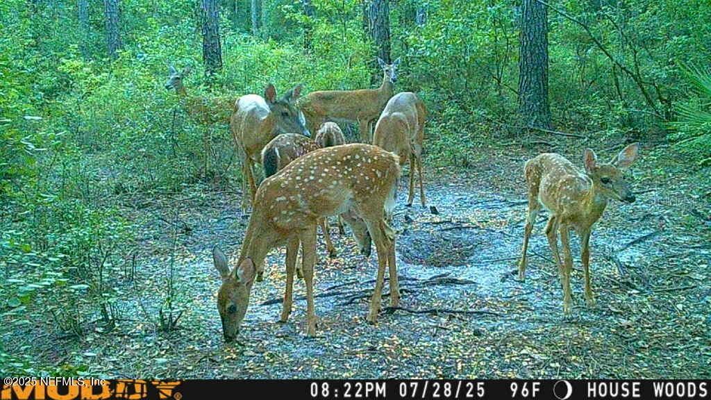 NOT IN SUBDIVISION - Residential