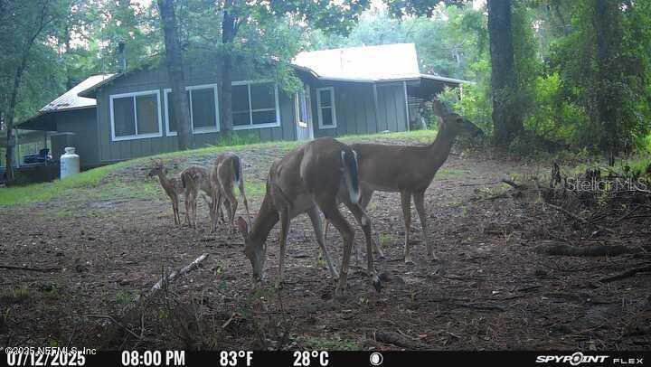 NOT IN SUBDIVISION - Residential