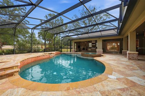 Tiny photo for 30248 Rainey Road, Sorrento, FL 32776 (MLS # G5106639)