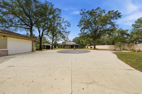 Tiny photo for 30248 Rainey Road, Sorrento, FL 32776 (MLS # G5106639)