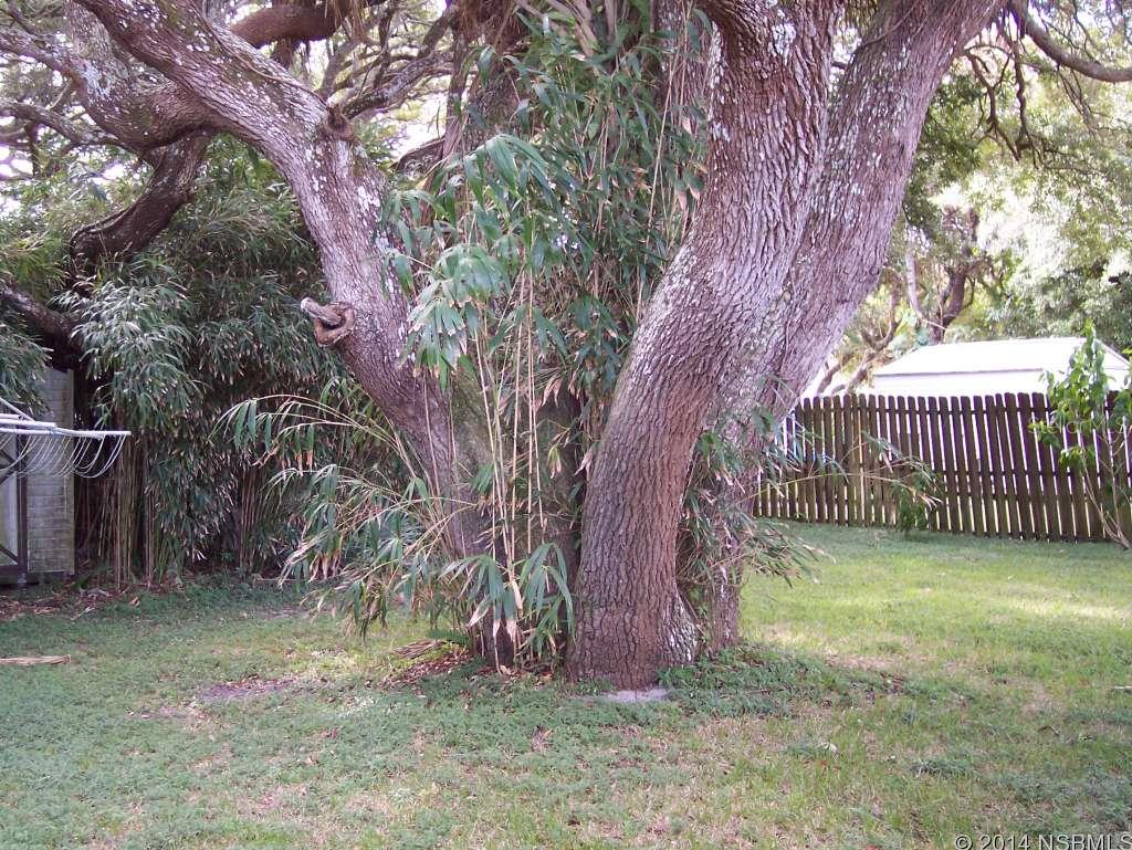 New Smyrna Beach - Residential