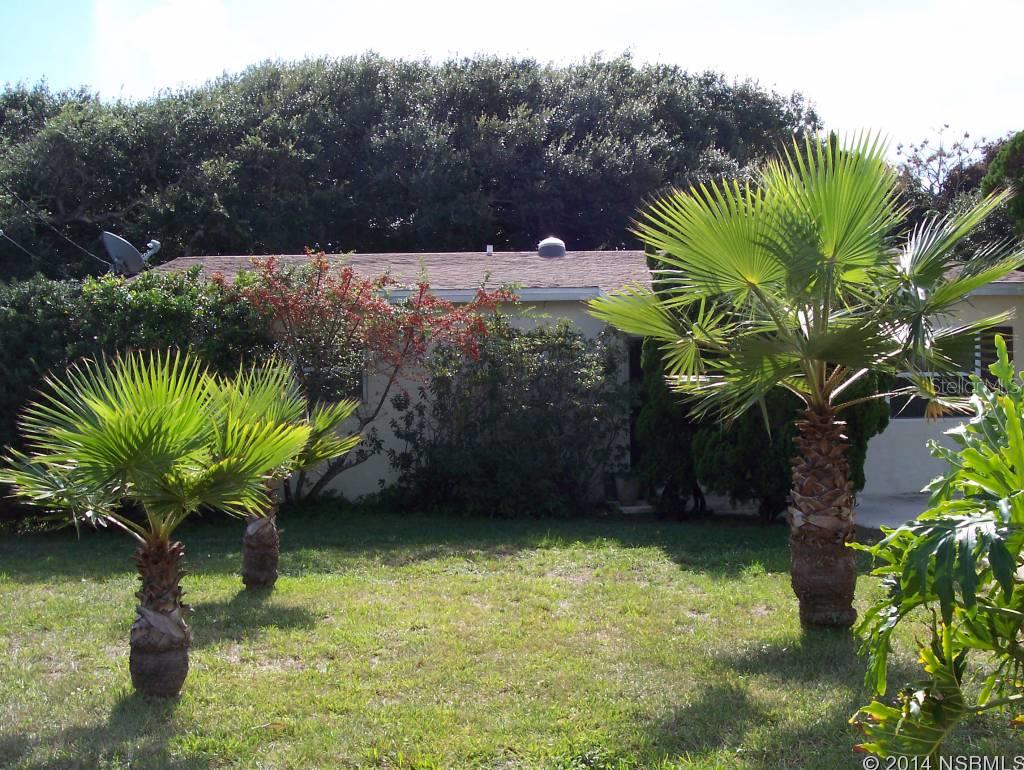 New Smyrna Beach - Residential