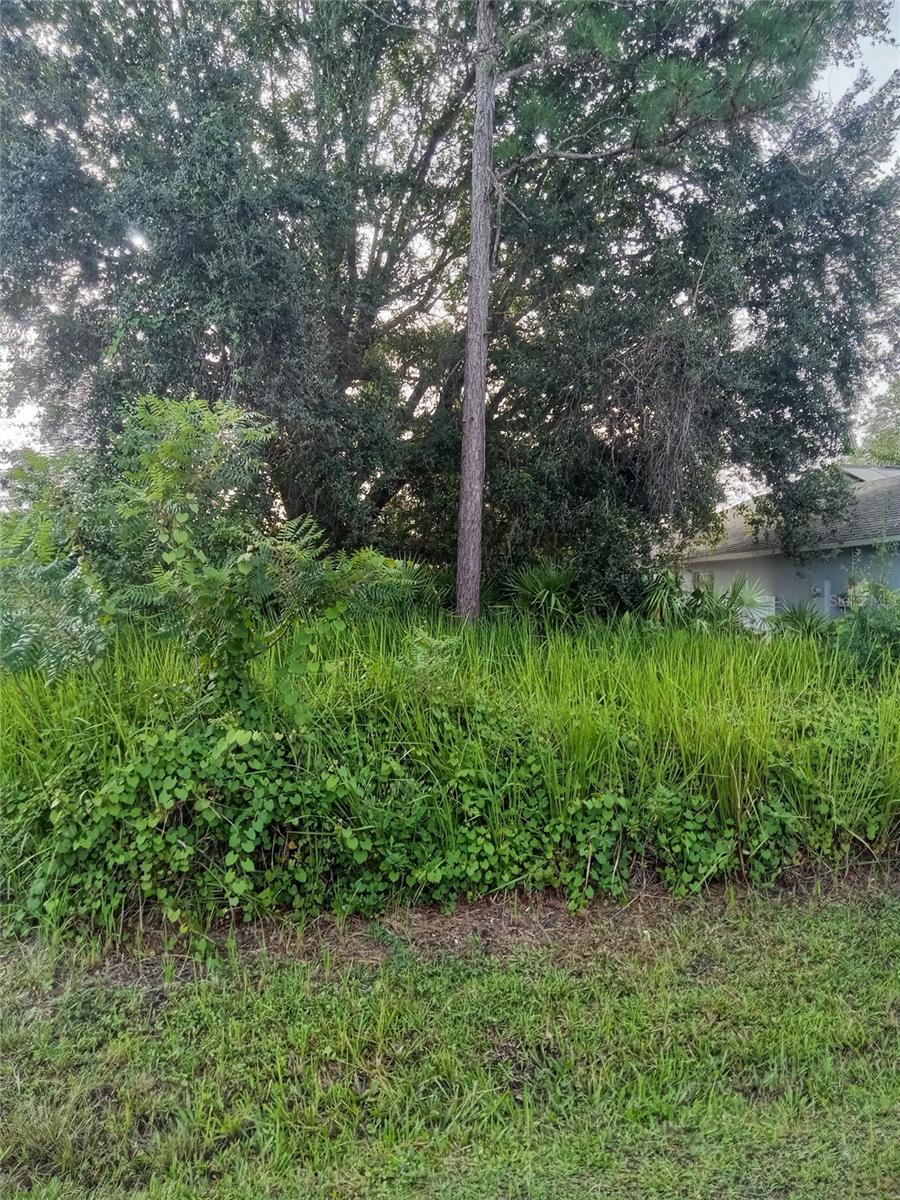 Spacious back flag lot lot near the heart of Poinciana and located in a great neighborhood. Perfect for building your dream home or investment! You're just minutes away from shopping centers, dining and world-renowned attractions like Disney. This lot won't last long so call today!