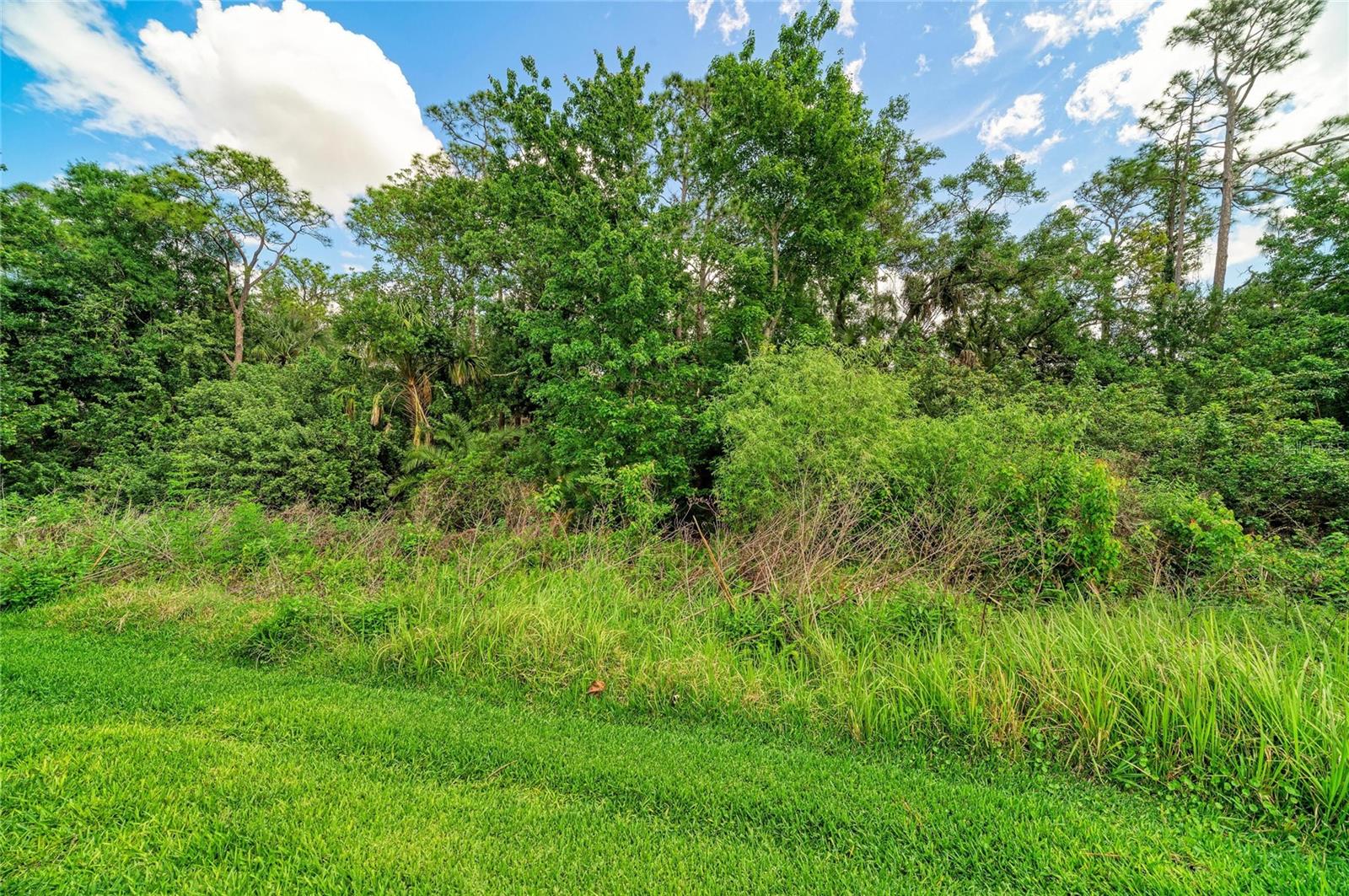 BRADEN RIVER LAKES PH IV - Residential