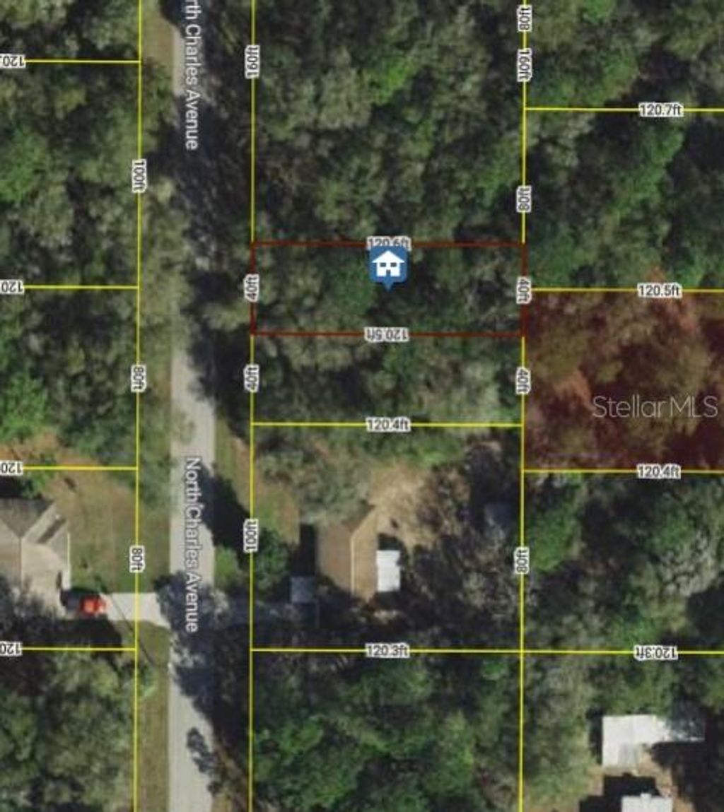 Photo of 267 N Charles (lots 66 &amp; 67) Avenue, Inverness, FL 34453 (MLS # W7879429)