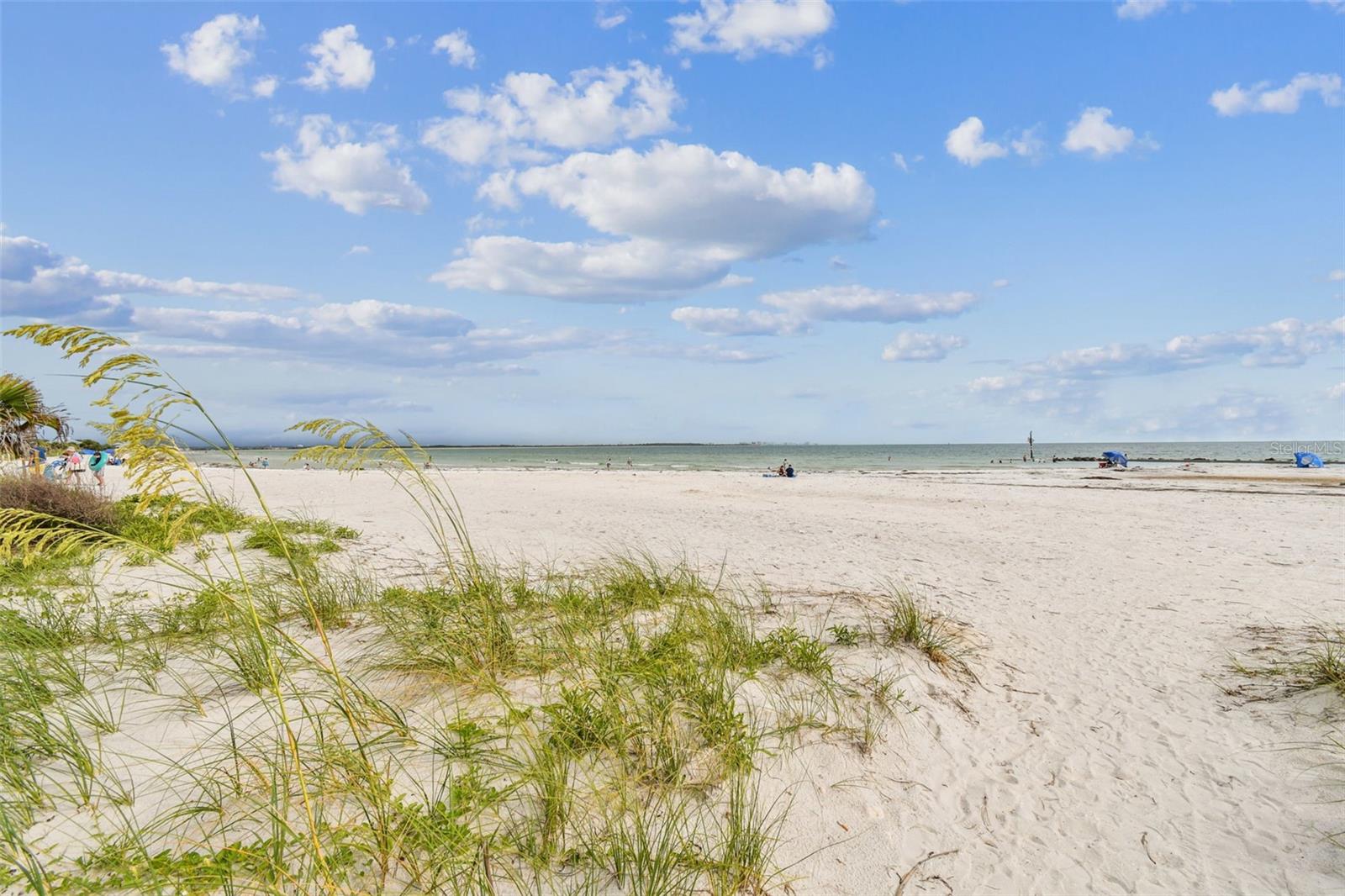 INDIAN BLUFF ISLAND - Residential