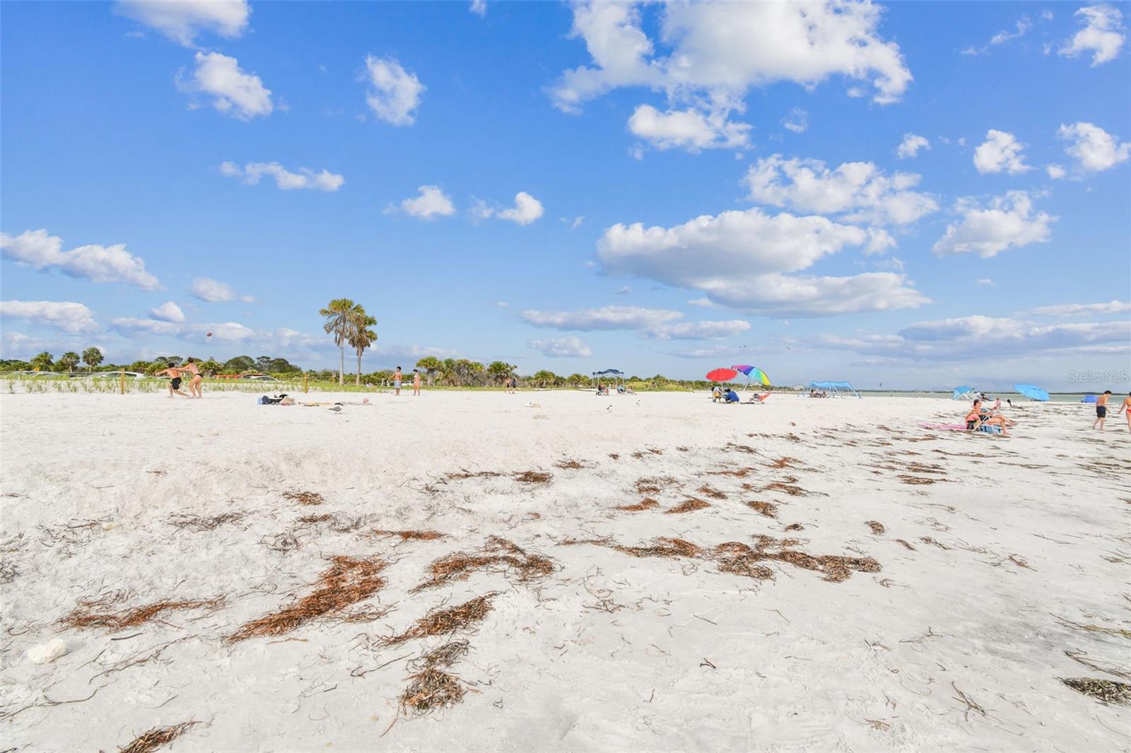 INDIAN BLUFF ISLAND - Residential