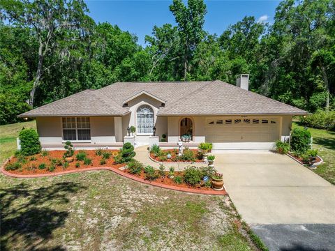 Photo of 11120 Lu Wista Lane, Brooksville, FL 34601 (MLS # TB8382668)