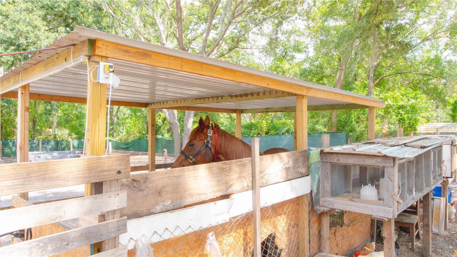 HAMNERS W E WONDERLAND ACRES - Residential