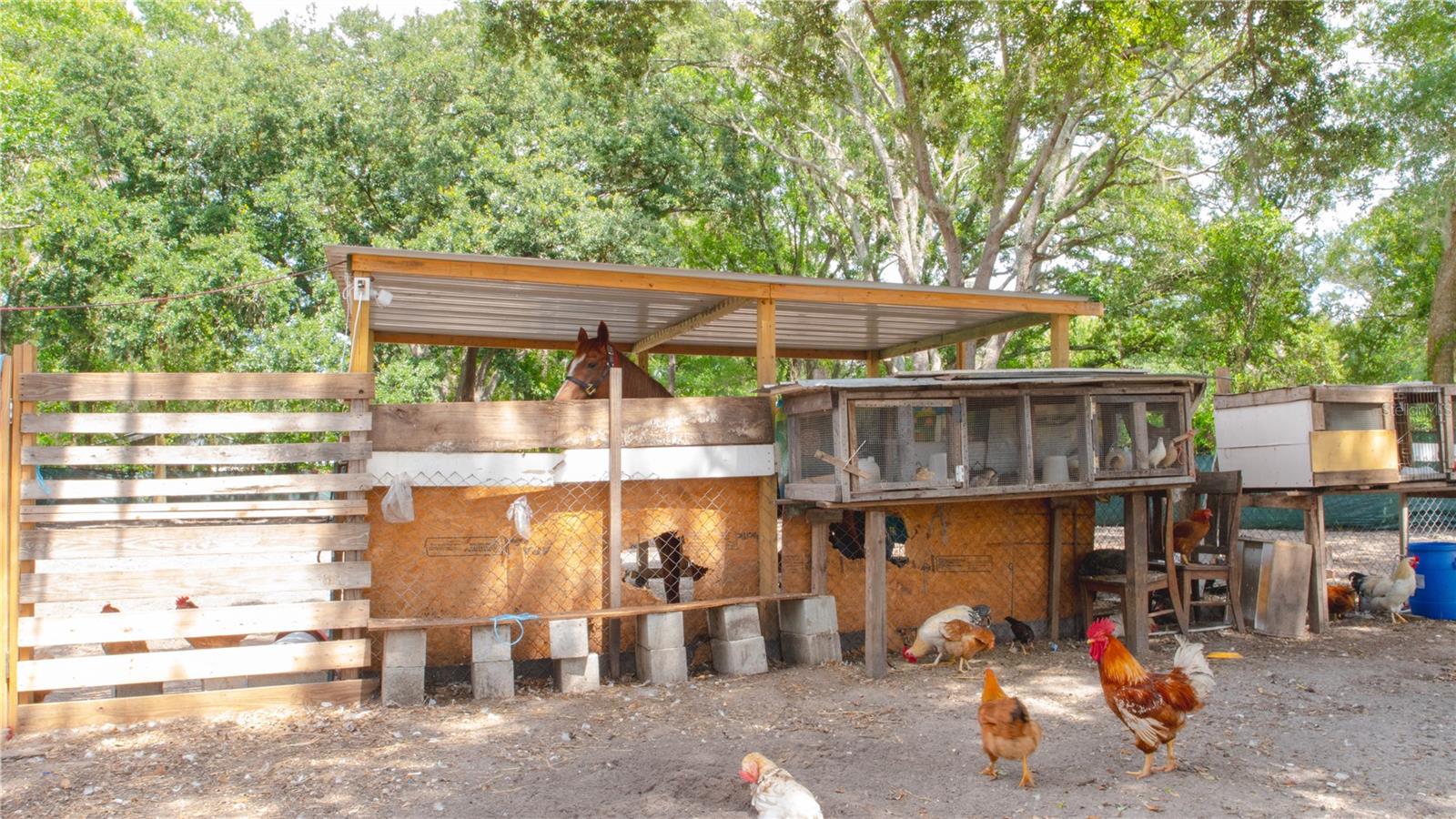 HAMNERS W E WONDERLAND ACRES - Residential