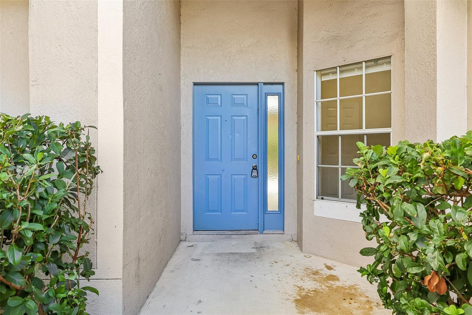 2415 HICKORY OAK BOULEVARD