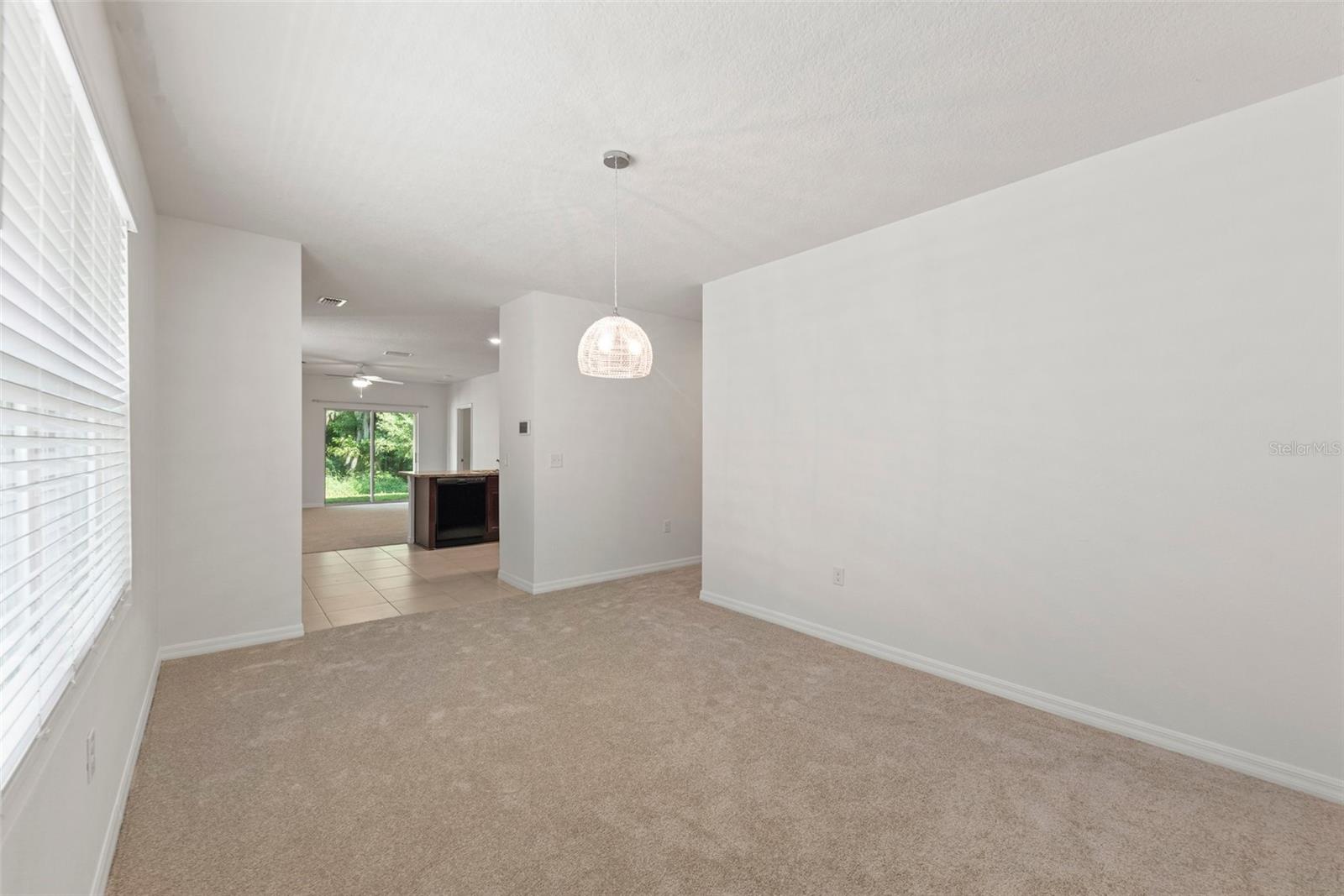 10920 CARLTON FIELDS DRIVE