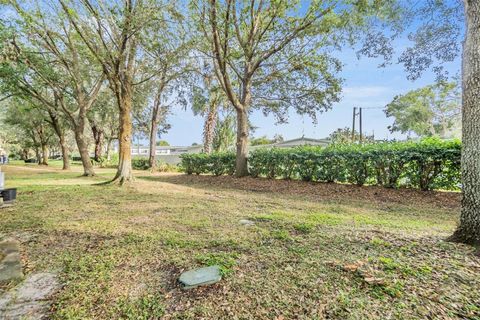 A home in ZEPHYRHILLS