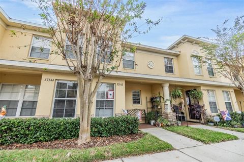 A home in ZEPHYRHILLS