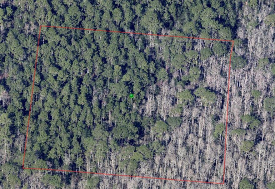 2.5 Acre lot located in DeLeon Springs.  While there is currently no access to this property, it is in an up coming area and could have excellent potential.