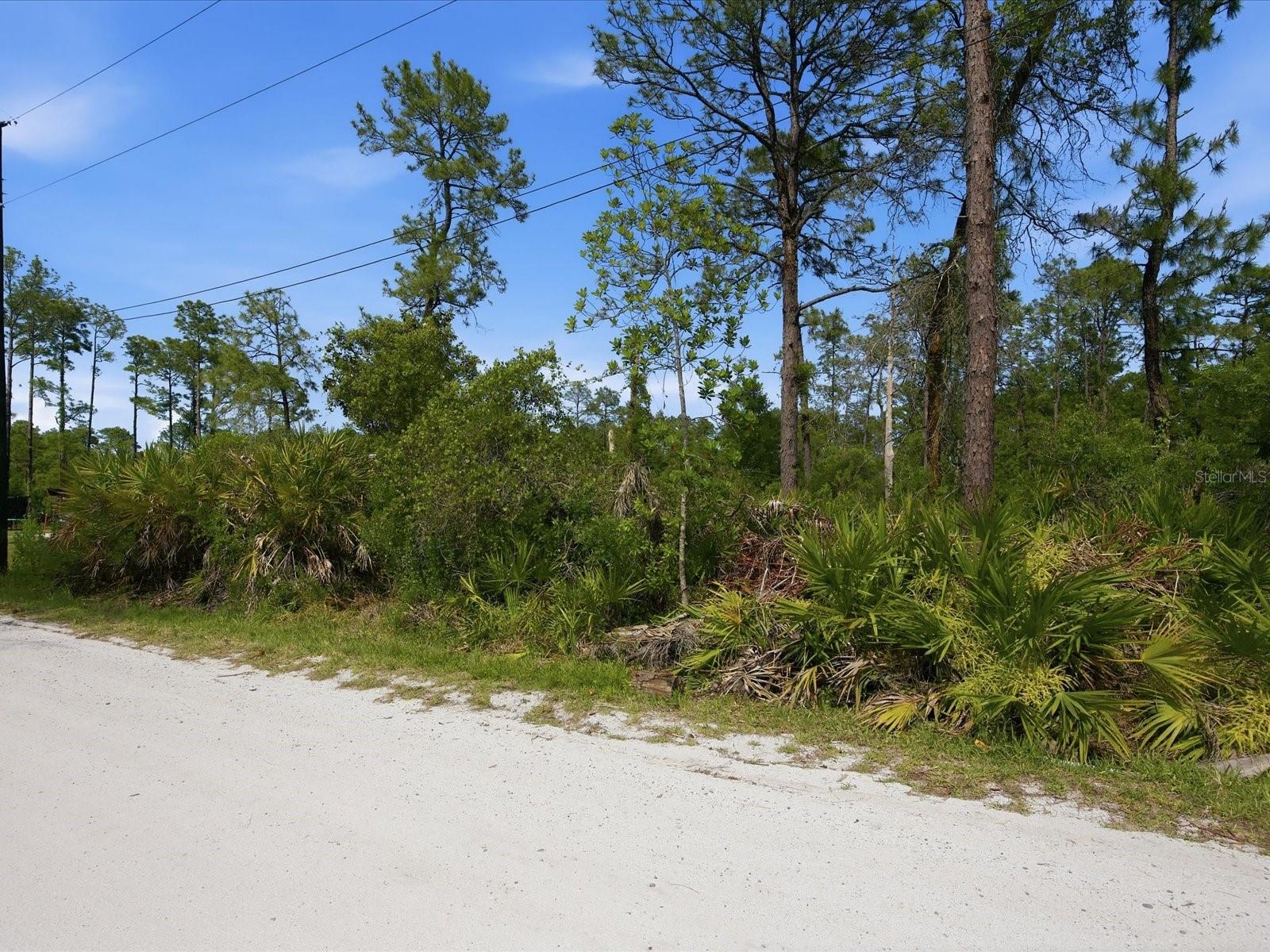 DAYTONA PARK ESTATES SEC D - Land