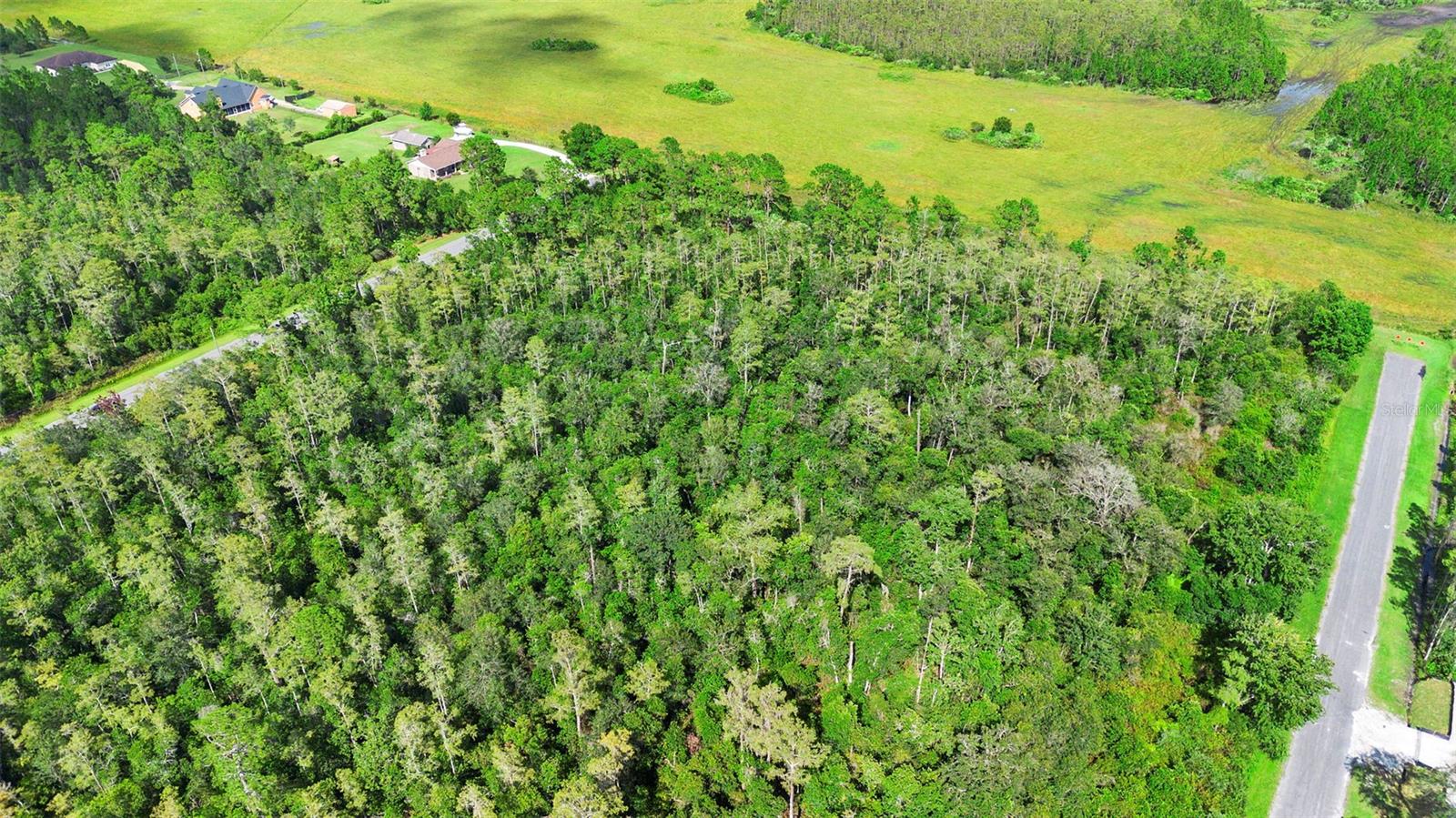 CAPE ORLANDO ESTATES - Land