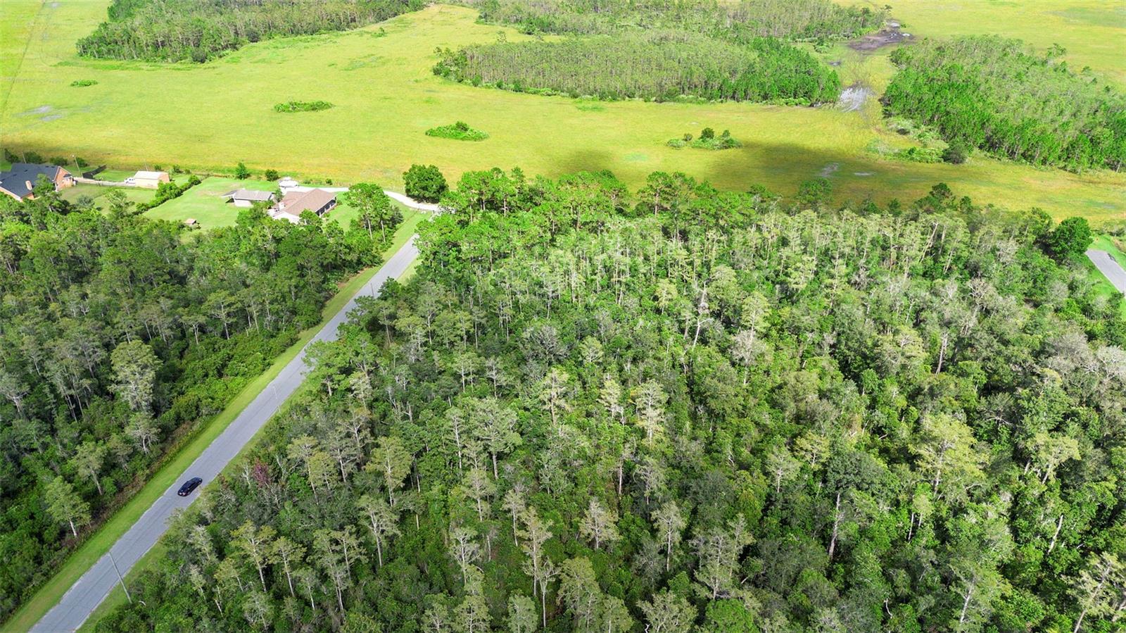 CAPE ORLANDO ESTATES - Land