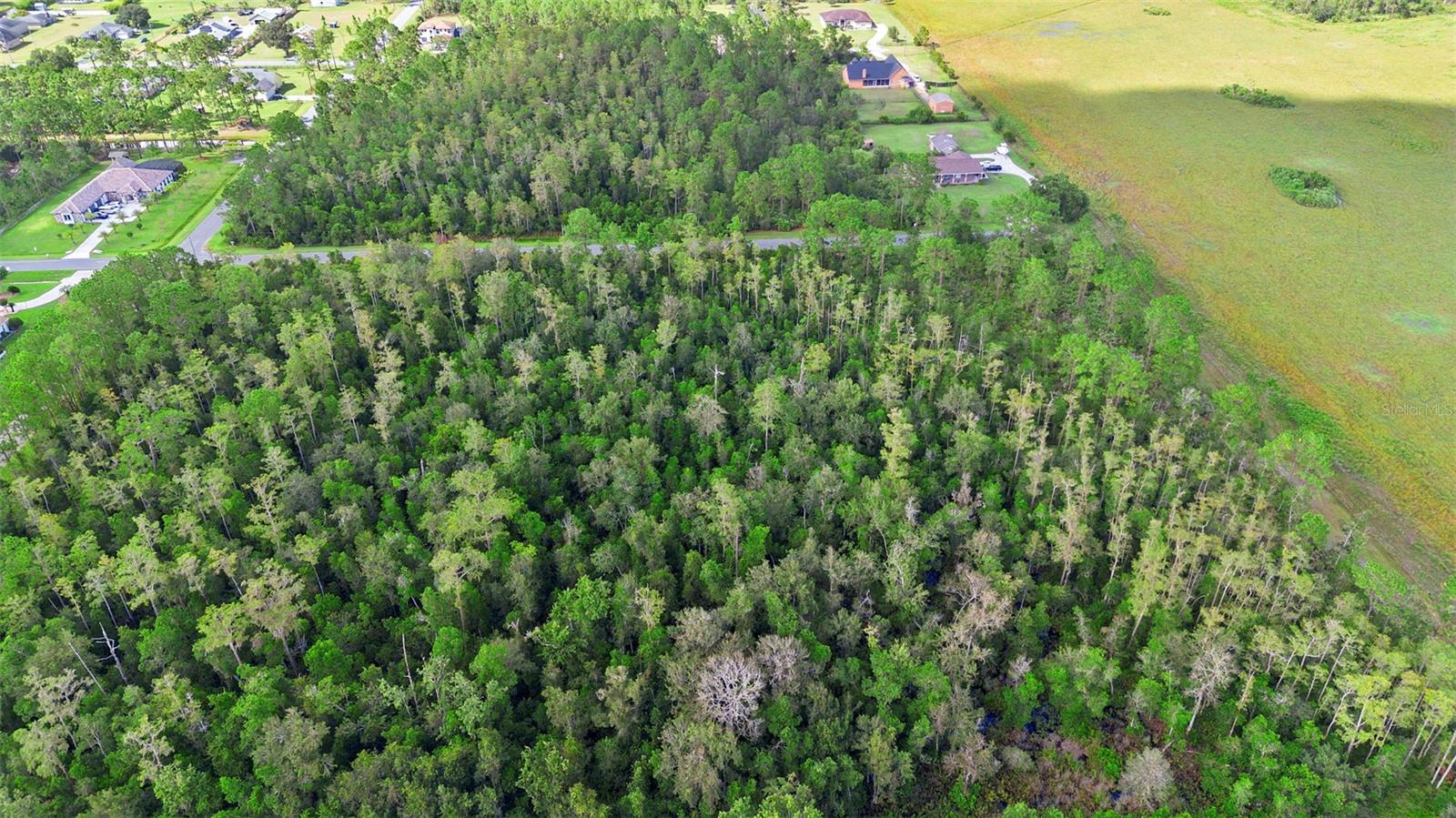 CAPE ORLANDO ESTATES - Land