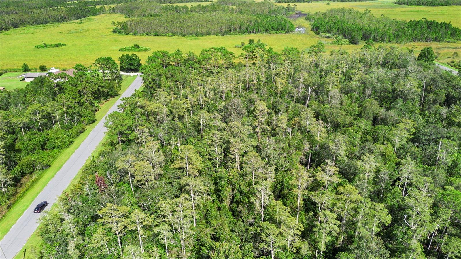CAPE ORLANDO ESTATES - Land