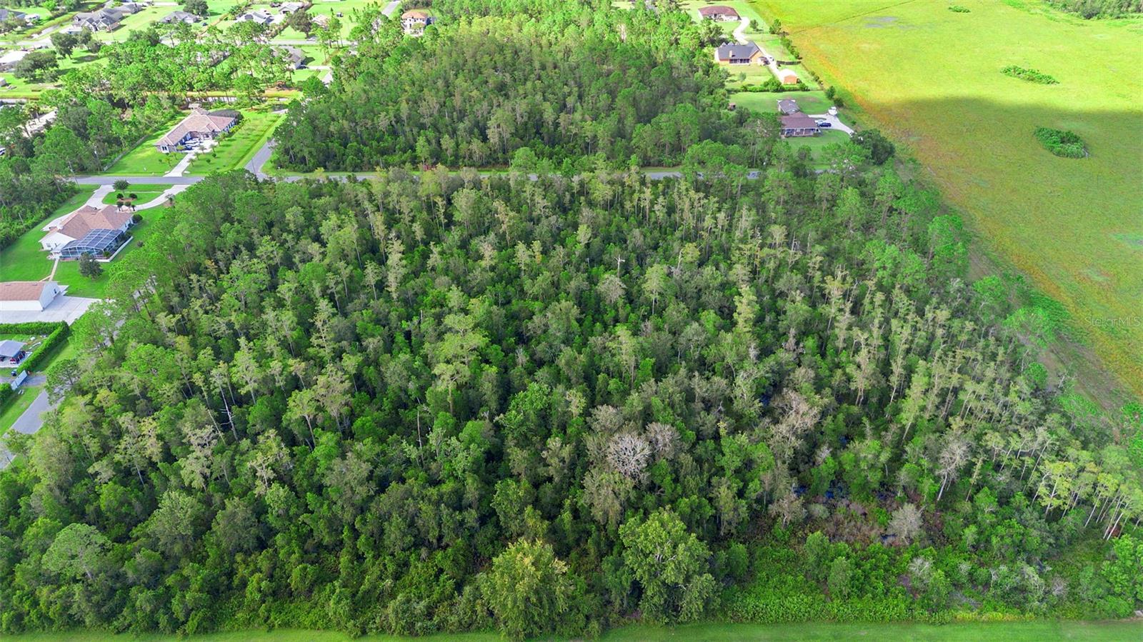 CAPE ORLANDO ESTATES - Land