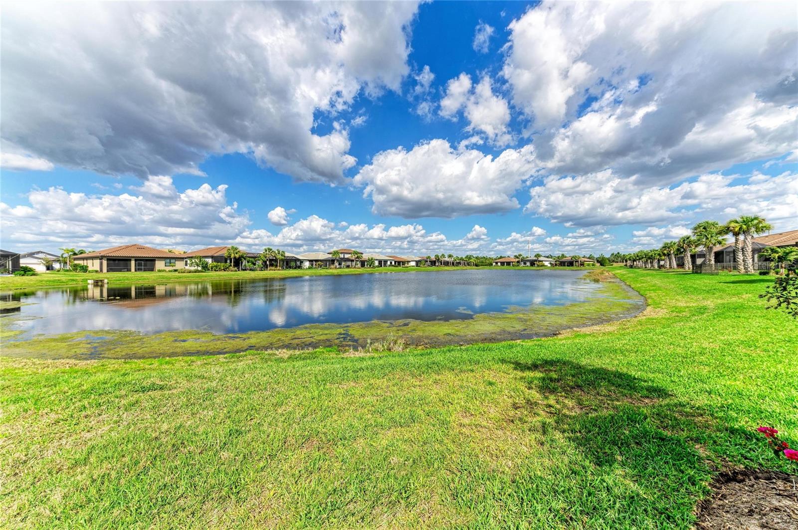 DEL WEBB AT LAKEWOOD RANCH - Residential