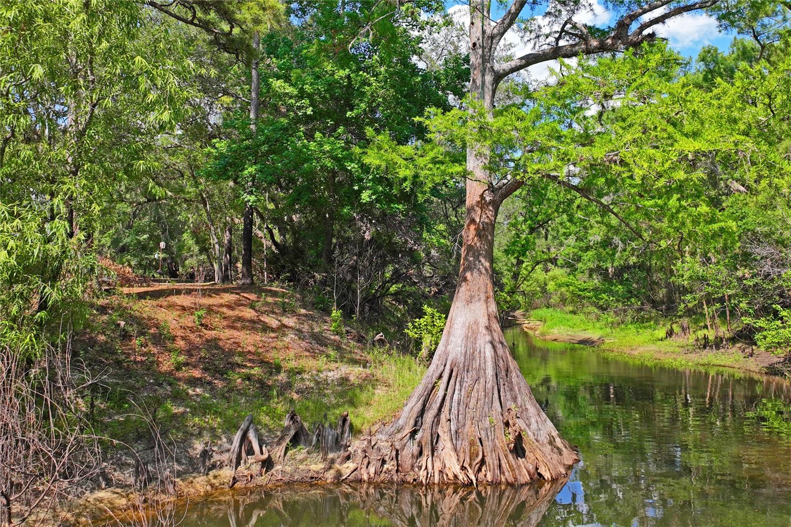 RIVERDALE SEC 2 - Residential