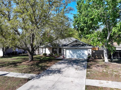 Photo of 33809 Silver Pine Drive, Leesburg, FL 34788 (MLS # G5105154)
