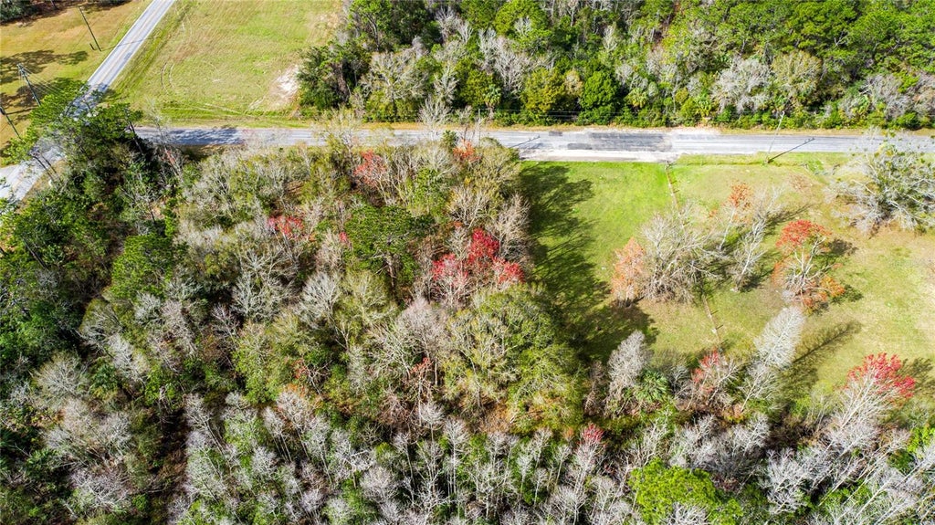 Photo of 4925 S Morningside Terrace, Homosassa, FL 34446 (MLS # W7886914)
