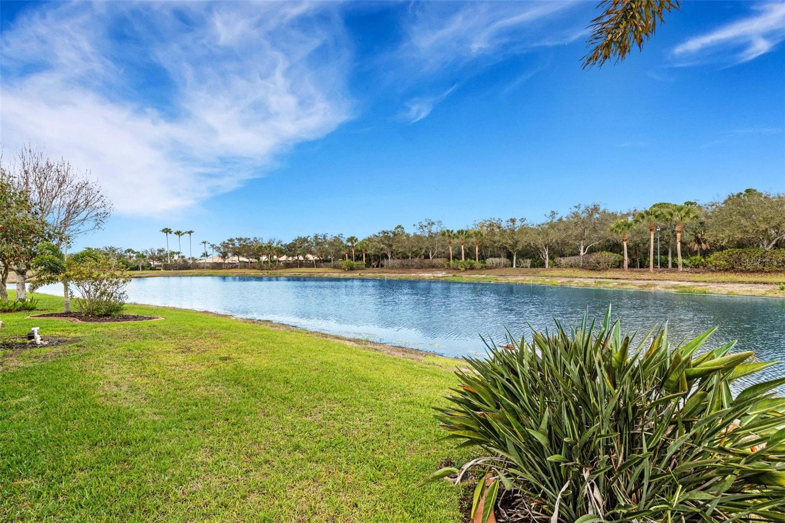 STONEYBROOK AT VENICE - Residential