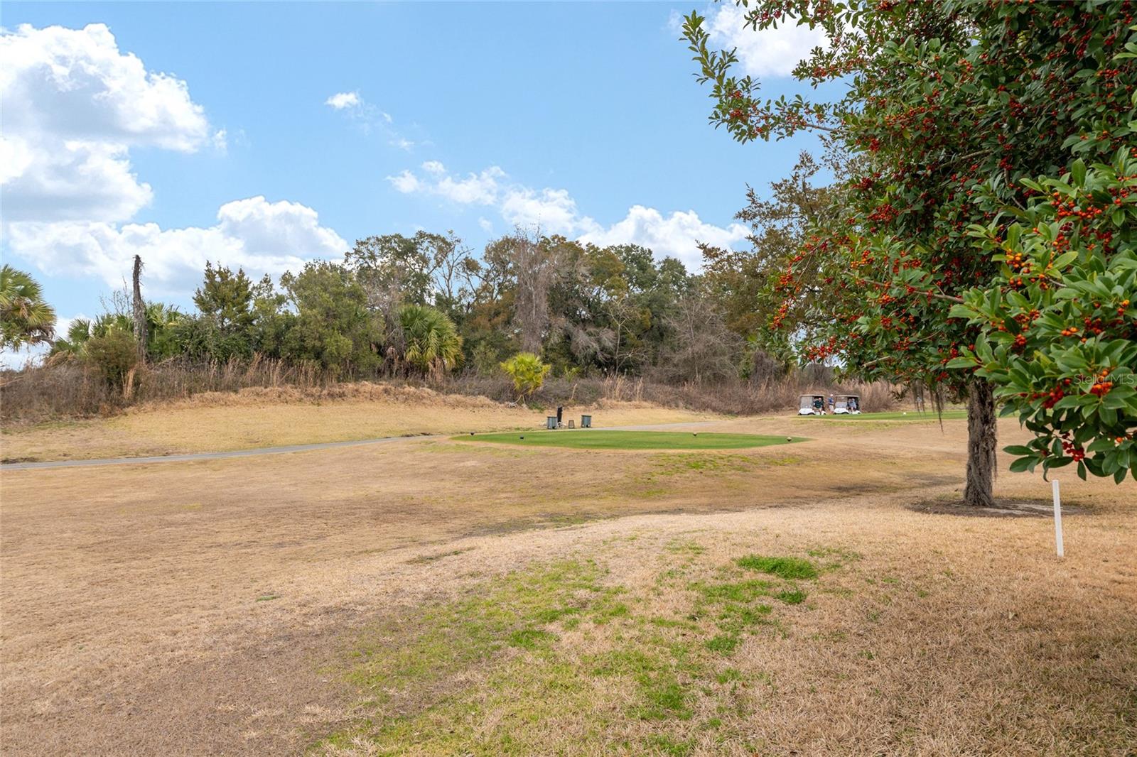 SUMMERGLEN PH 1 - Residential