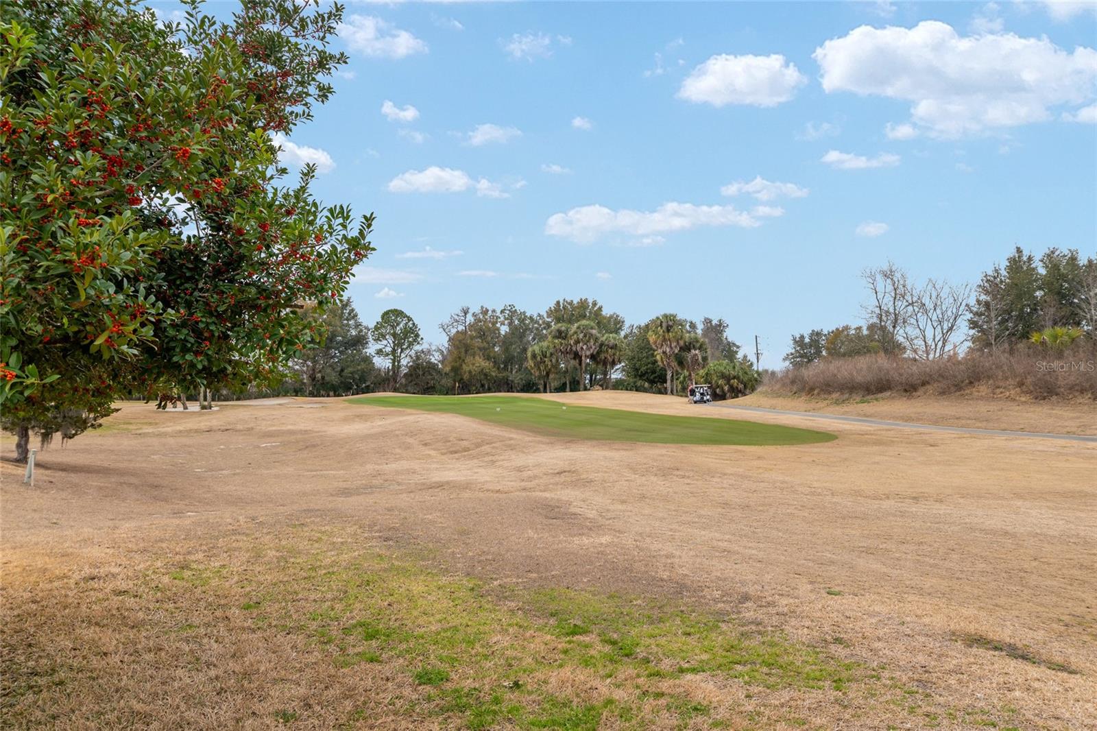 SUMMERGLEN PH 1 - Residential