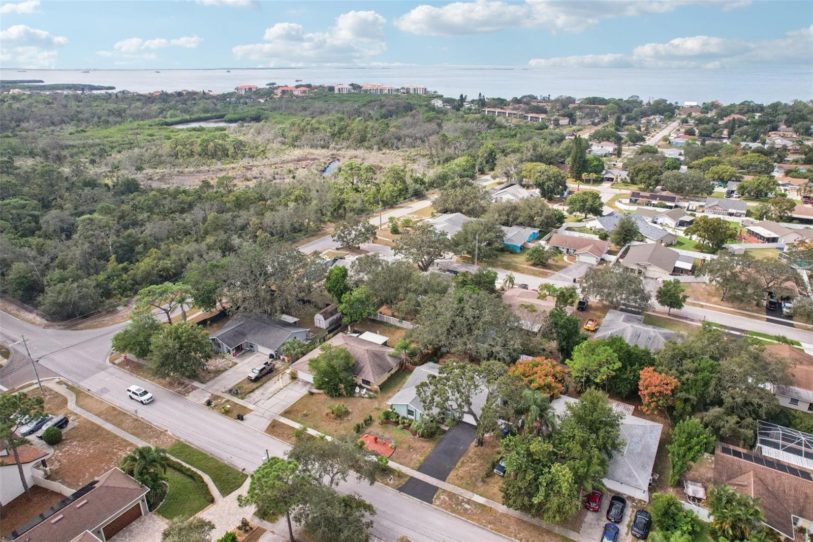 GULF OAKS ESTS - Residential