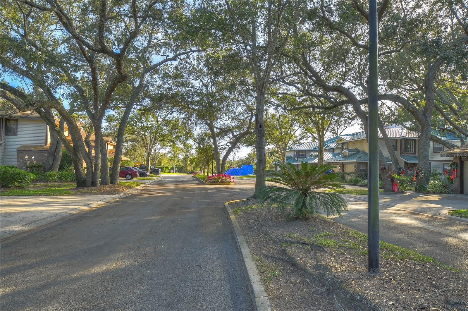 LAUREL OAKS AT COUNTRY WOODS CONDO - Residential