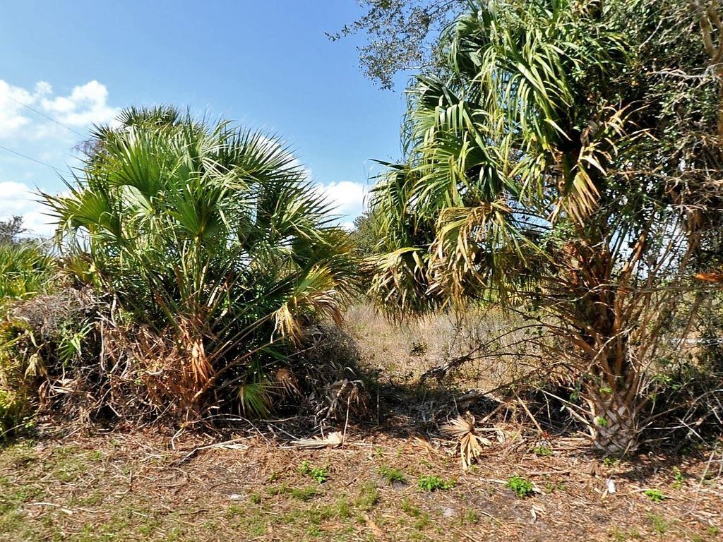 Photo of Skyview Drive, North Port, FL 34291 (MLS # C7524693)